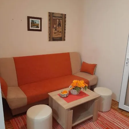 Viogorska 16 Apartment