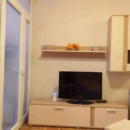 Viogorska 16 Apartamento