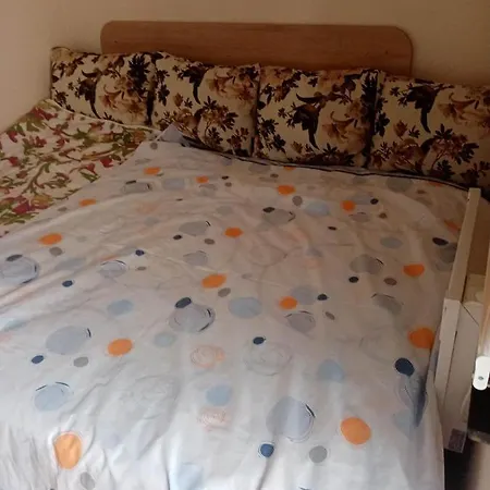 Viogorska 16 Apartamento Zlatibor