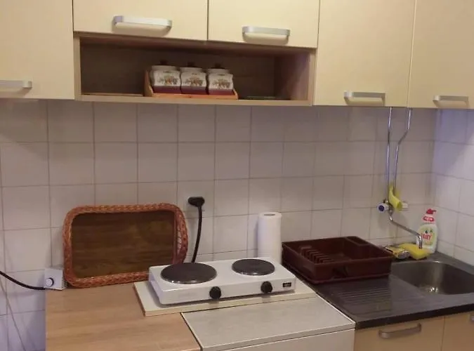 아파트 Viogorska 16